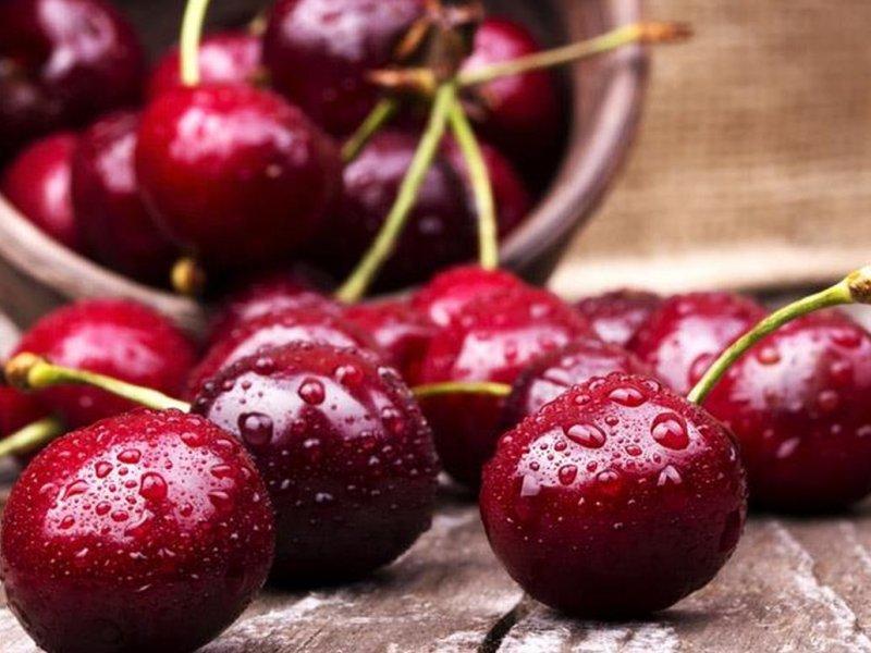 Вишня купить саженцы из питомника в Чите